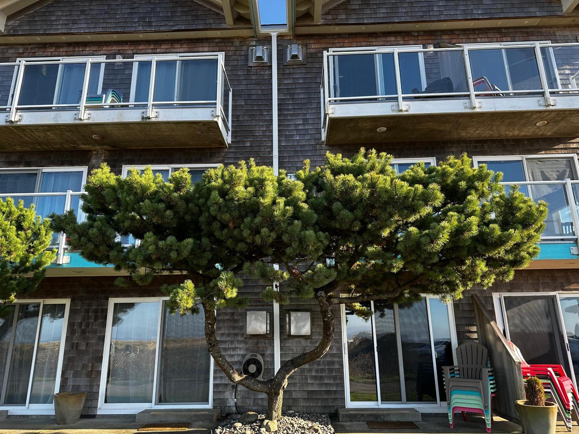 Inn At The Shore Сисайд Экстерьер фото